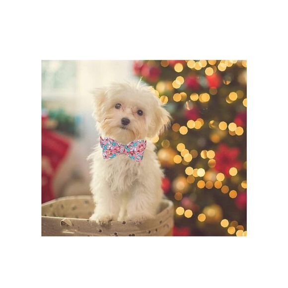DOGWONG Christmas Dog Collar with Sailor Bow, Red Santa Claus Stripe Dog Collar - Picture 3 of 11